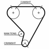 RPM Racing Timing Belt