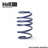 Performance Lowering Spring