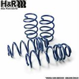 Performance Lowering Springs