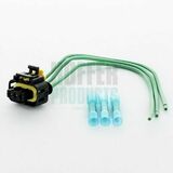 25123