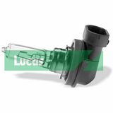 LLB9005
