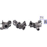 LTRPA8146984