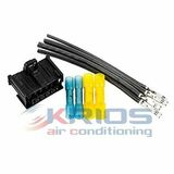 K26204