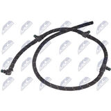 BPP-CH-006