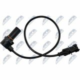 ECP-AR-007
