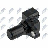ECP-MS-008