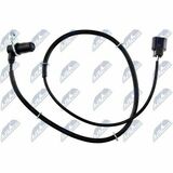 HCA-MS-067