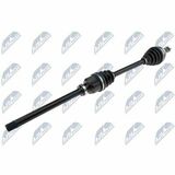 NPW-CT-081