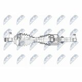 NPW-CT-161