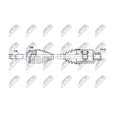 NPW-FR-209