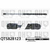QTS828123