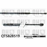 QTS828519