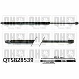 QTS828539