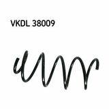 VKDL 38009
