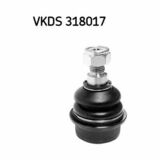 VKDS 318017