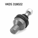 VKDS 318022