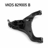 VKDS 829005 B