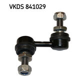 VKDS 841029