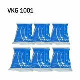 VKG 1001
