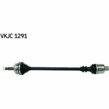 VKJC 1291