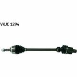VKJC 1294