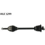 VKJC 1299