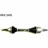 VKJC 1491