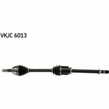 VKJC 6013