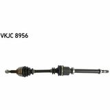 VKJC 8956