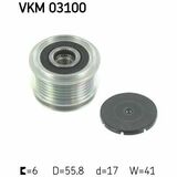 VKM 03100