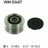 VKM 03407