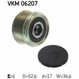 VKM 06207