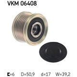 VKM 06408