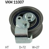 VKM 11007