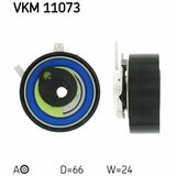 VKM 11073