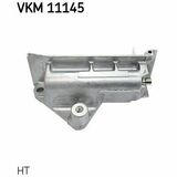 VKM 11145