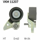 VKM 11207