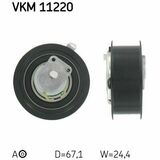 VKM 11220