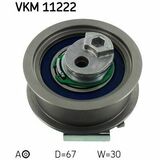 VKM 11222