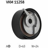 VKM 11258