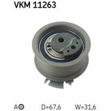 VKM 11263