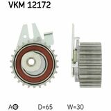 VKM 12172