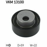 VKM 13100