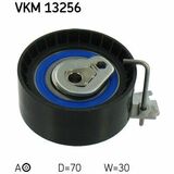 VKM 13256