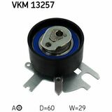 VKM 13257