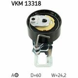 VKM 13318