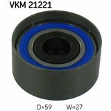 VKM 21221