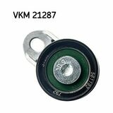 VKM 21287