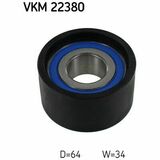 VKM 22380