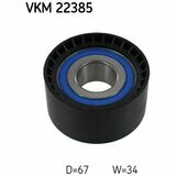 VKM 22385